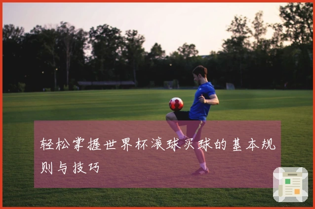 轻松掌握世界杯滚球买球的基本规则与技巧