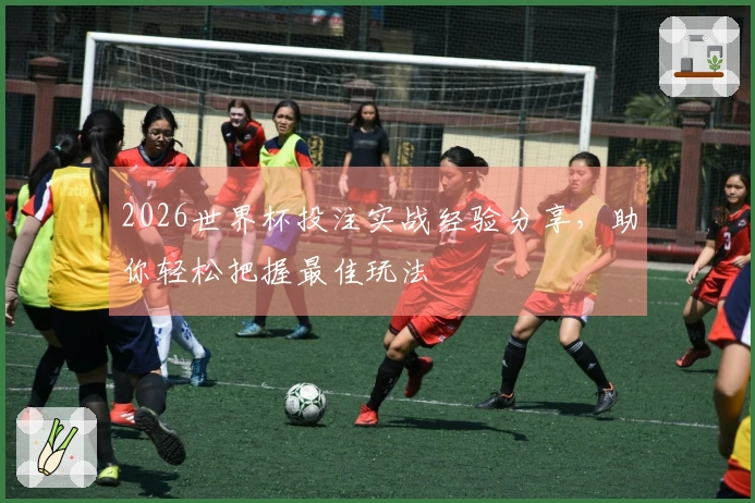 2026世界杯投注实战经验分享，助你轻松把握最佳玩法