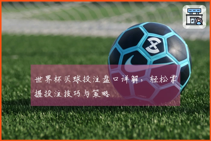 世界杯买球投注盘口详解，轻松掌握投注技巧与策略