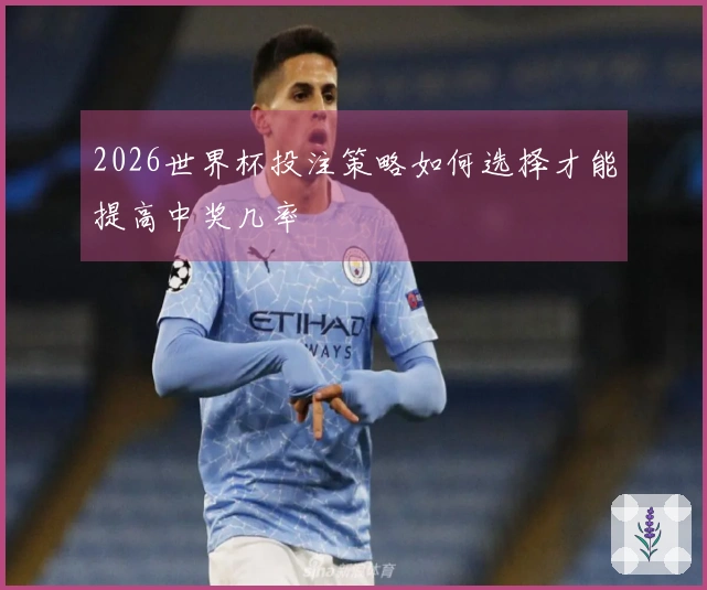 2026世界杯投注策略如何选择才能提高中奖几率