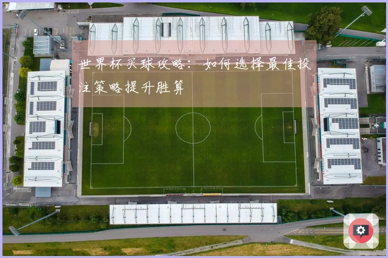世界杯买球攻略：如何选择最佳投注策略提升胜算