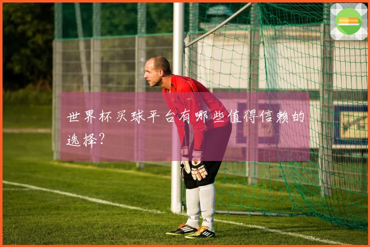世界杯买球平台有哪些值得信赖的选择？